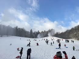 Ski w Łyżej Górze